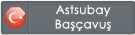 astsbybscvs.png